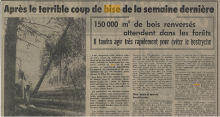 Nach dem Sturm vom 15. April 1972 veröffentlichter Presseartikel.