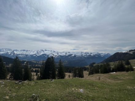 Oberhalb Rickenbach im Kanton Schwyz war es um die Mittagszeit noch freundlich, die aufziehende Bewölkung liess die Sonne noch durchscheinen.