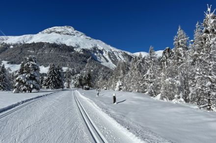 Langlaufloipe in verschneiter Landschaft