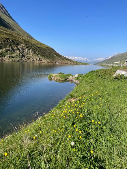 Falls es Ihnen zu heiss wird, finden Sie hoffentlich Abkühlung in einem Gewässer ihrer Wahl. Foto aus der Region Sedrun. 