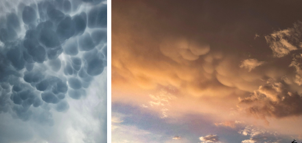 In der Nähe von Gewittern kann man oftmals eindrückliche «Alto- oder Cirrocumulus mamma» beobachten, so auch gestern Abend. Den Namen rührt von den nach unten gerichteten Ausstülpungen der Wolke her und entsteht in der Regel durch Turbulenzen innerhalb einer Gewitterwolke an dessen Rand