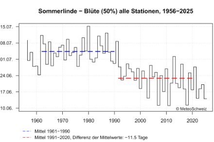 Zeitreihe des mittleren Datums der Blüte der Sommerlinde