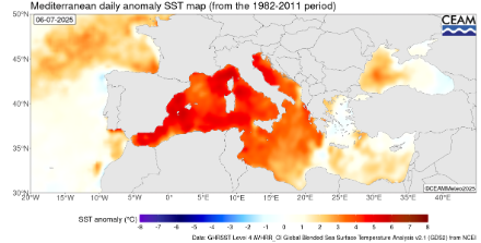 Abbildung 2. Anomalie der am 6. Juli 2025 per Satellit gemessenen Meeresoberflächentemperatur im Vergleich zur Referenzperiode 1982-2011. 
