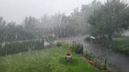 Schauer mit intensivem Niederschlag in Effingen AG an der Westseite des Bözbergs. Bild: Meteo Meldungen, MeteoSwiss App