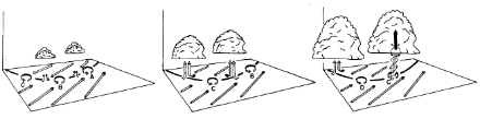 Grafische Illustration zur Entstehung eines Typ II Tornados beziehungsweise einer Wasserhose. Die detaillierte Beschreibung findet sich im Text. 