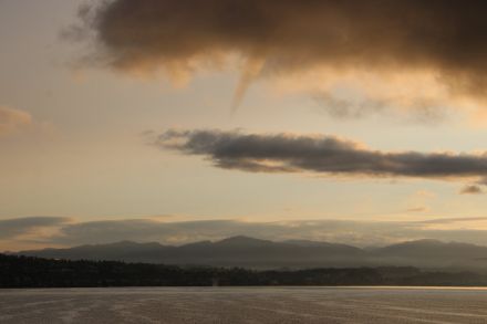 Anfangsstadium einer Wasserhose über dem Zürichsee am 26. August 2018. Unter der Wolke wächst die Funnelcloud/Trichterwolke nach unten, während sich auf der Wasseroberfläche infolge der zunehmenden Rotation ein Sprühring bildet. 