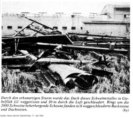 Die Superzelle löste auch im Kanton Luzern derart heftige Böen aus, dass Dachstöcke meterweit durch die Luft geschleudert wurden.