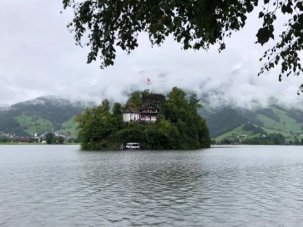 Trübes Juliwetter in Lauerz SZ am Lauerzersee. In der Westschweiz und im Wallis hat man davon weniger mitbekommen. Dort fiel der Monat in einigen Regionen sogar etwas zu trocken aus. Bild: Meteo Meldungen, MeteoSwiss App