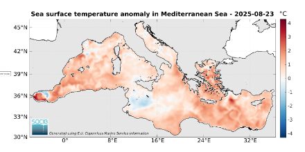Anomalie der Wasseroberflächentemperatur des Mittelmeers im Vergleich zur Norm der Jahre 1982 bis 2015. Durch das aussergewöhnlich warme Mittelmeer sind potentiell höhere Verdunstungsraten und damit feuchtere Luftmassen möglich. 