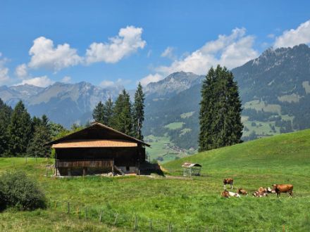 Heute war die Quellwolkenbildung auch in den Alpen eher bescheiden, wie das Bild, welches bei Diemtigen (BE) aufgenommen wurde, zeigt. Auch in diesem Fall trägt die fortgeschrittene Jahreszeit das Ihrige dazu bei.
