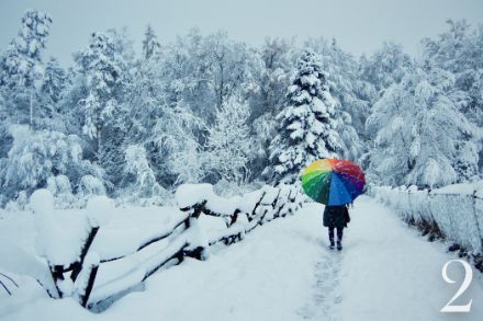 Wädenswil (ZH), 02.12.2023