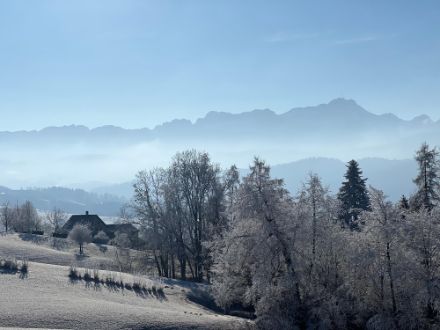 Ausblick von Teufen AR zum Alpstein mit Säntis am 31.12.2025. Bild: Meteomeldungen, MeteoSwiss App