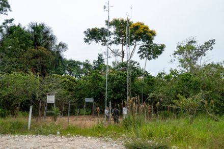 Bild einer Messstation im Amazonasbecken in Ecuador.