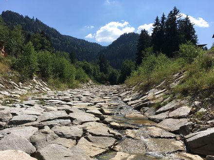 Im Bild ist das ausgetrocknete Flussbett des Grossbach zu sehen im Sommer 2018.