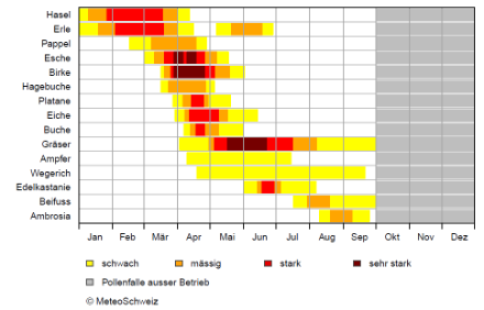  	Tabelle mit den wichtigsten Pflanzenarten, die allergene Pollen verbreiten. Mit farbigen Balken wird aufgezeigt, in welchen Monaten die Pollenbelastung wie gross ist. 