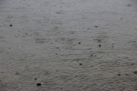 Regentropfen landen im Türlersee 