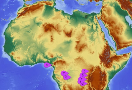 Karte mit den blitzreichsten Regionen Afrikas.