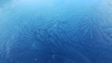 Eisblume auf einer Autoscheibe.