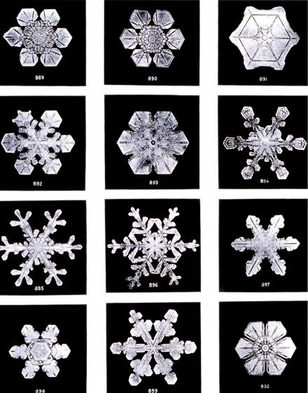  	Bilder von verschiedenen Eiskristallen 