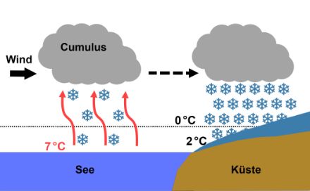 Schematische Darstellung der Entstehung eines Schauers durch den Lake Effect.