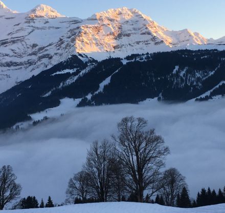 Im Vordergrund der Aufnahme ein Nebelmeer, im Hintergrund die Berge des Diablerets im Sonnenlicht.