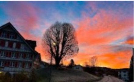 Morgenrot hinter einem Haus und einem Baum.