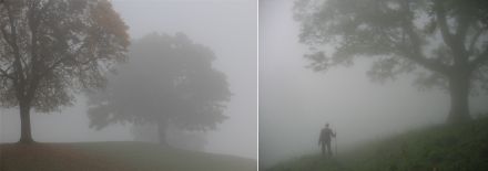 Zwei Bilder, die in dichtem Nebel einzelne Bäume erkennen lassen.