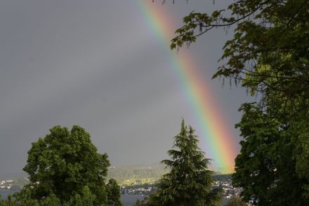 Bild von einem Regenbogen; die Regentröpfchen leuchten in den Spektralfarben.