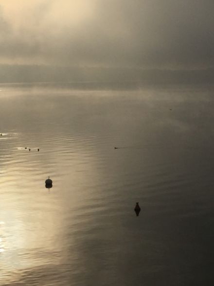 Bild von Verdunstungsnebel über dem Genfersee.
