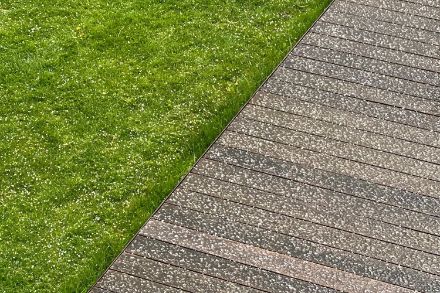 Gras und hölziger Weg, punkteartig mit Frostgraupel übersäht.