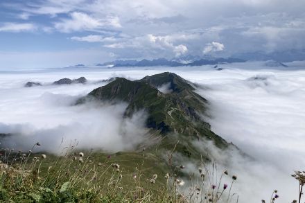 Unten Hochnebel, oben Quell- und Gewitterwolken, gesehen von M. Baumann auf dem Brienzer Rothorn.