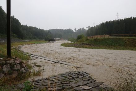 Die Sihl in der Nähe von Langnau a.A. führte heute sehr viel Wasser. Der Schwemmholzrechen wurde aber zum Zeitpunkt der Bildaufnahme knapp nicht geflutet. Foto: D. Gerstgrasser