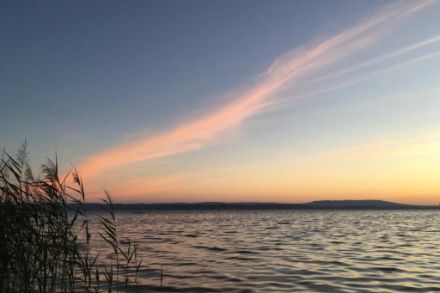 Morgenstimmung am Bodensee (Quelle: W. Nater).