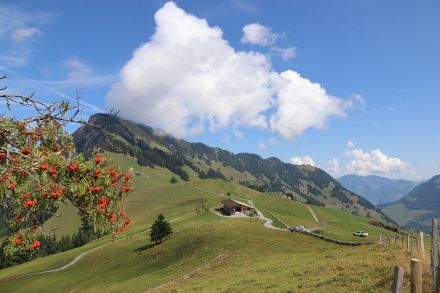 Am Vormittag noch von dekorativem Charakter: Cumuli kurz vor Mittagszeit über dem Ächerlipass. Foto: D. Gerstgrasser