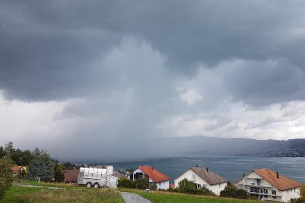 Blick von Wädenswil auf einen Regenschauer über dem Zürichsee. Meteomeldung/App