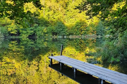Spiegelbild am Ägel-/Egelsee. Der Übergang vom realen zum gespiegelten Bild ist dank der perfekt glatten Oberfläche des Wassers kaum zu erkennen. Foto: D. Kolar