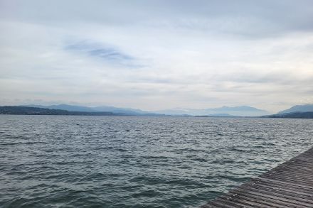 Kaum hatte sich der Hochnebel verzogen, deckte zunehmend dichter werdende hohe Bewölkung die Sonne ab, wie hier am Zürichsee. Bild: Sarah Baumann.