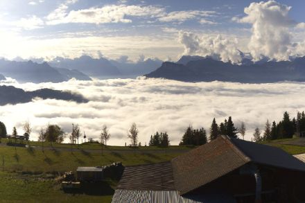 Blick von der Rigi Scheidegg über den Hochnebel hinweg nach Süden, wo bereits am Vormittag Quellwolken in die Höhe wachsen. Quelle: https://rigibahnen.roundshot.com/scheidegg/#/