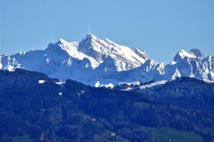 Verschneiter Säntis mit blauem Himmel und grünen Hügeln im Vordergrund