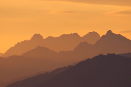 Blick von der Hirzelhöchi auf die Mürtschenstöcke kurz nach Sonnenaufgang. Foto: D. Gerstgrasser.