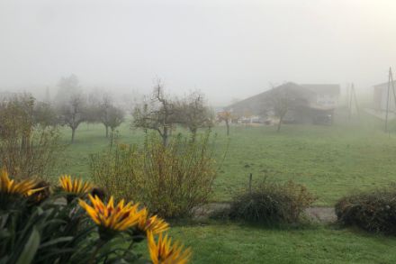Trüber Morgen in Ettingen (BL)