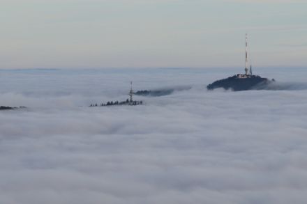 Nebel kommt besonders im Winterhalbjahr oft vor. In den Nebelrandgebieten gehört der Nebel sogar zu den schönsten meteorologischen Phänomenen überhaupt. Foto: Daniel Gerstgrasser