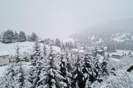 Weisses Erwachen in Lenzerheide am Freitagmorgen. Bild: Meteomeldungen/App