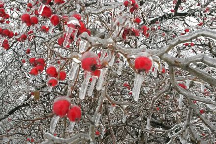 Gefrierender Regen (Symbolbild), Quelle: Pixabay