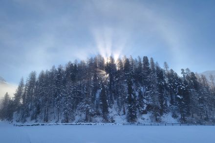 Celerina im Oberengadin am Montagmorgen, 12.12.2022. Bild: R. Gergely