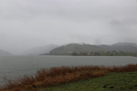 Trübe Verhältnisse heute Vormittag am Sihlsee. Dies war heute eher die Regel als die Ausnahme. Bild. D. Gerstgrasser