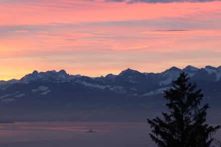 Heute am Morgen in Thalwil konnte man die wärmere Luft in der Höhe infolge der Schichtbewölkung erahnen, die kalte Grundschicht wurde hingegen durch den Dunst markiert. Bild: Daniel Gerstgrasser.