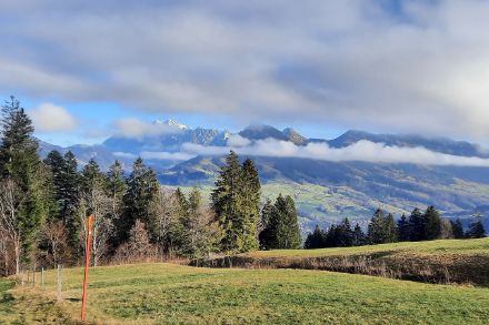 Blick von der Wolzenalp durch die Wolkenlücken zum Säntis.