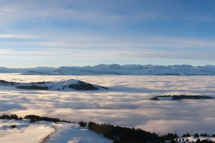 Blick auf die Alpen, im Vordergrund ein Nebelmeer. 