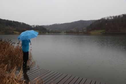 Am Türlersee bei Hausen am Albis war heute am Vormittag der Regen das dominierende Wetterelement. Bildquelle: Daniel Gerstgrasser.